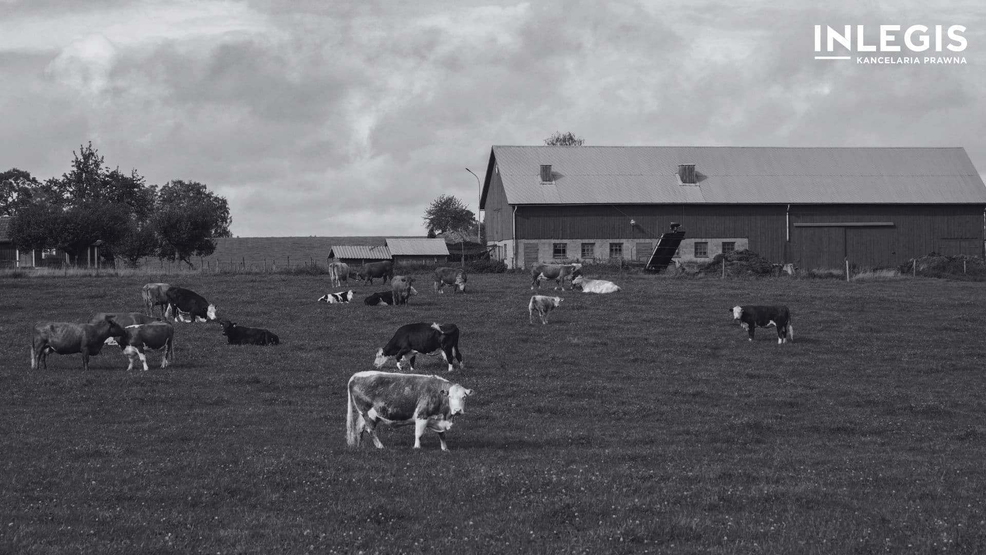 wywłaszczenie agroturystyki