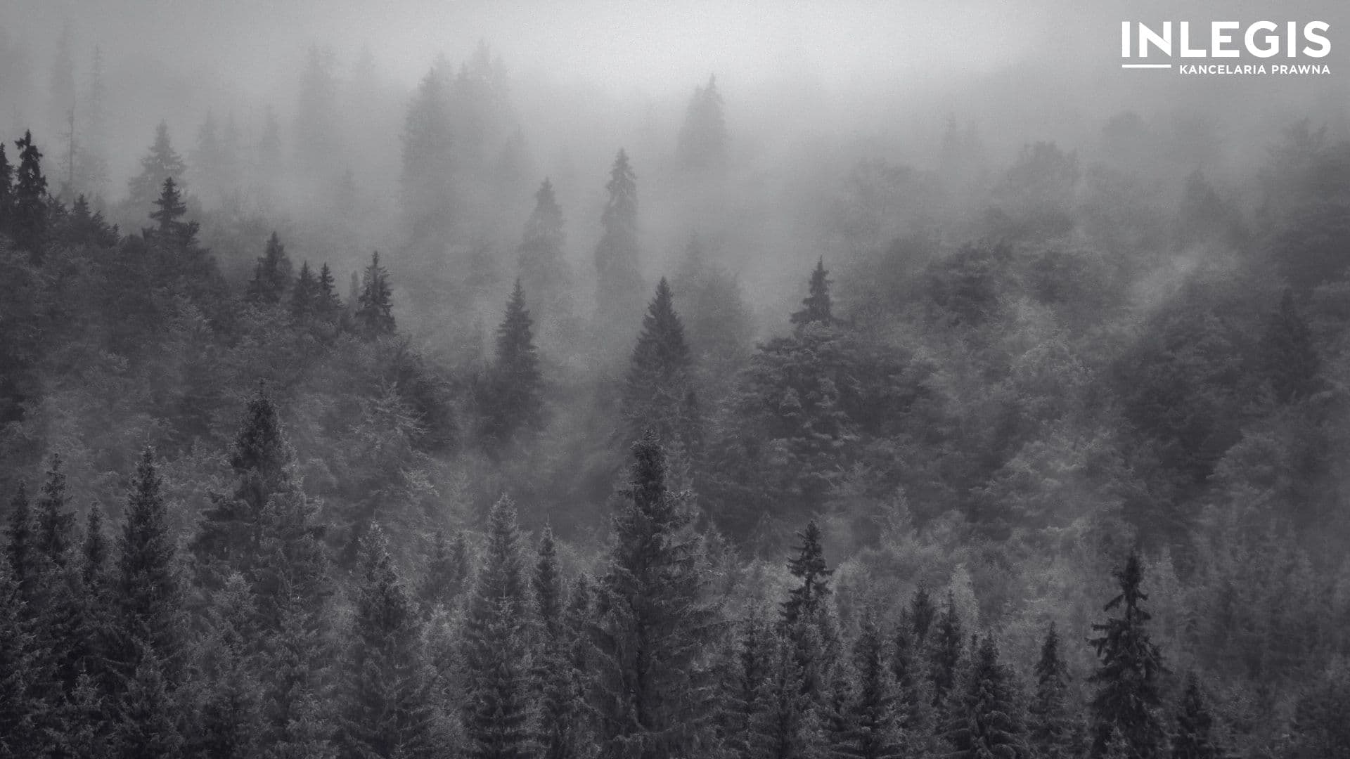 Wywłaszczenia nieruchomości na gruntach rolnych oraz gruntach leśnych